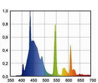 Fluorescent Light Color Spectrum Chart